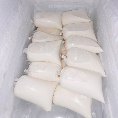 Susu Sapi Murni