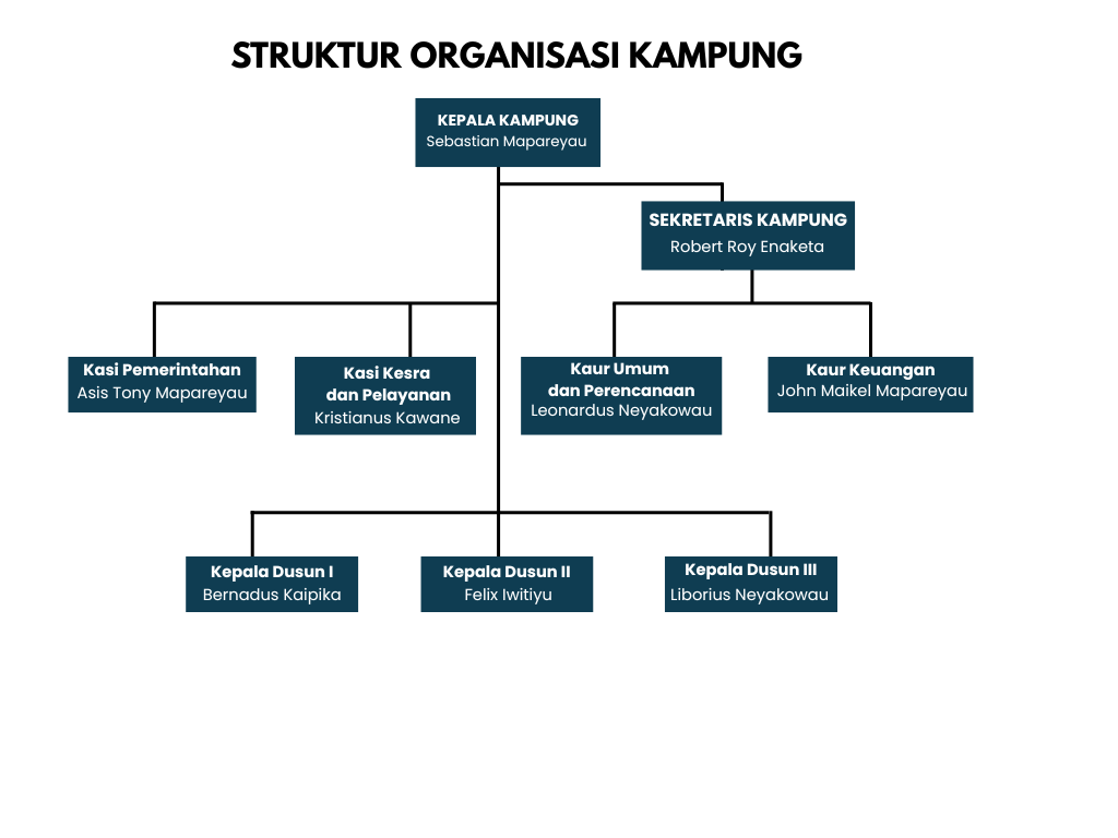 Struktur organisasi pemerintahan desa